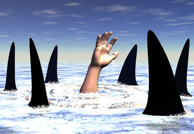 Sound Tax Installments